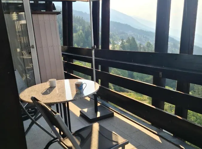 Апартаменты Stunning Southview Flat Кран-Монтана